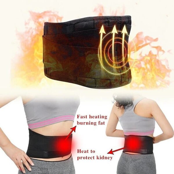 Unisex Weight Loss & Back Support Brace Belt - Image 2