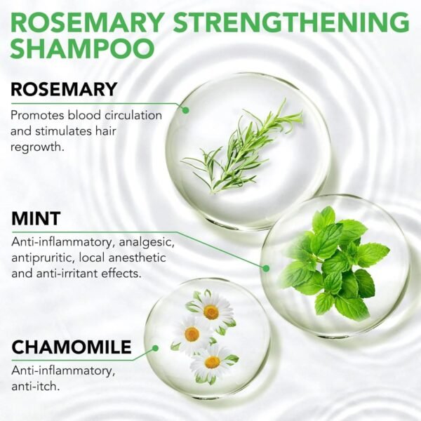 Mint Strengthening Shampoo (100ml) - Image 2