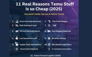 11 Real Reasons Temu Stuff Is so Cheap (2025)