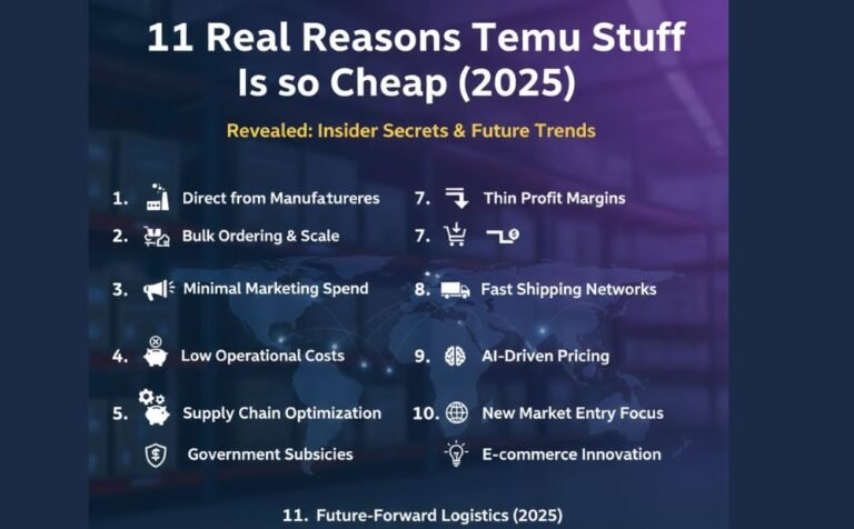 11 Real Reasons Temu Stuff Is so Cheap (2025)