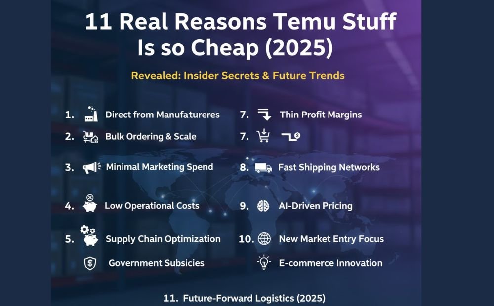 11 Real Reasons Temu Stuff Is so Cheap (2025)